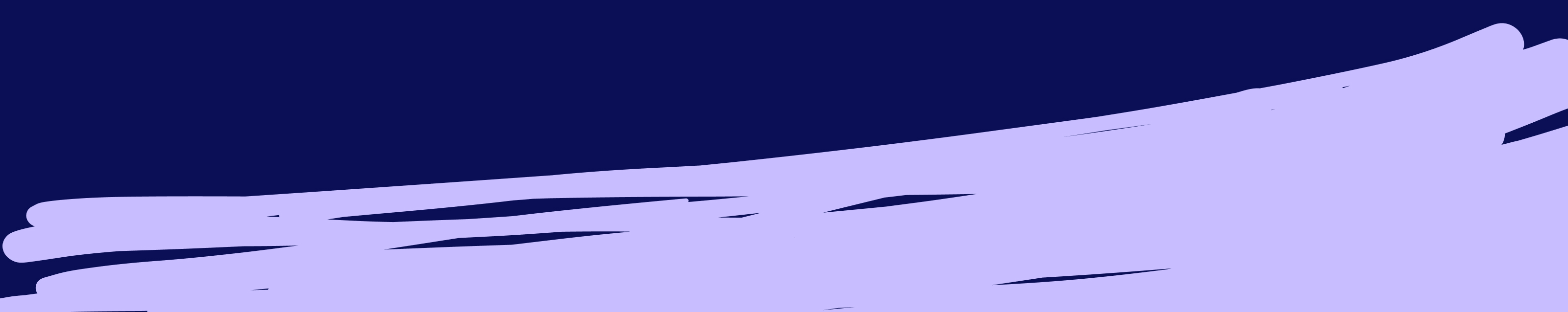 section divider 1